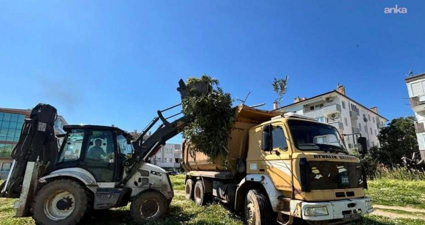 Ayvalık Belediyesi ekipleri Kurban Bayramı süresince 7/24 mesai yaptı Ayvalık Belediye Başkanı Mesut Ergin, Kurban Bayramı tatili boyunca görev