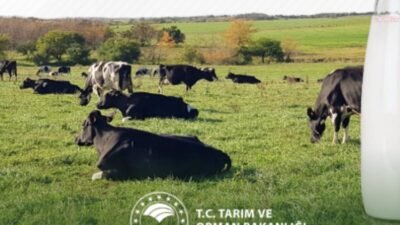 Tarım ve Orman Bakanı İbrahim Yumaklı, 1 Haziran Dünya Süt