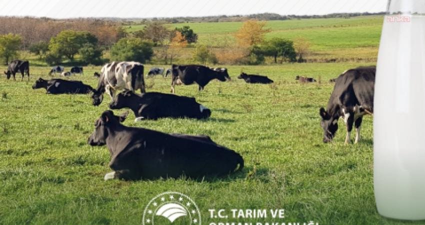 Bakan Yumaklı’dan Dünya Süt Günü mesajı Tarım ve Orman Bakanı İbrahim Yumaklı, 1 Haziran Dünya Süt