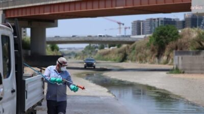Bakırköy Belediyesi, yaz mevsiminin gelmesiyle sivrisinek ve diğer vektörlere karşı