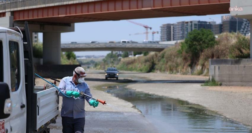 Bakırköy Belediyesi, yaz mevsiminin gelmesiyle sivrisinek ve diğer vektörlere karşı