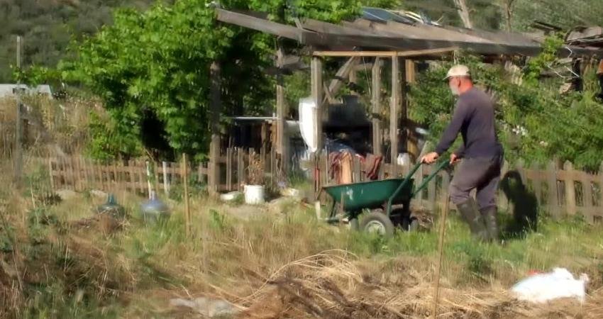 Balıkesir’de emekli muhasebeci örnek üretici oldu Balıkesir’in Burhaniye ilçesinde, 6 yıl önce ilçeye gelen emekli muhasebeci