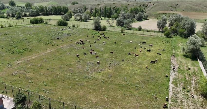 Yimpaş Yozgatspor A.Ş. tarafından 2000 yılında Fakıbeyli bölgesinde yaptırılan ve