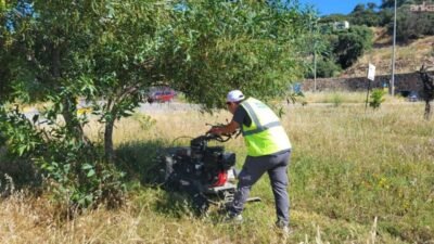 Bodrum Belediyesi Park ve Bahçeler Müdürlüğü ekipleri, mayıs ayında başlatılan