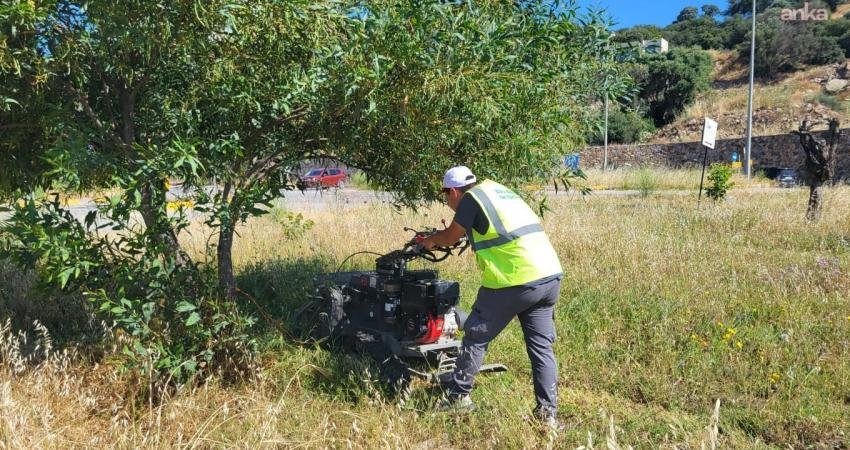 Bodrum Belediyesi Park ve Bahçeler Müdürlüğü ekipleri, mayıs ayında başlatılan