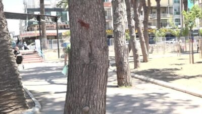 İzmir Büyükşehir Belediyesi, Buca’nın simge yeşil alanlarından Şirinyer Parkı’nda kapsamlı