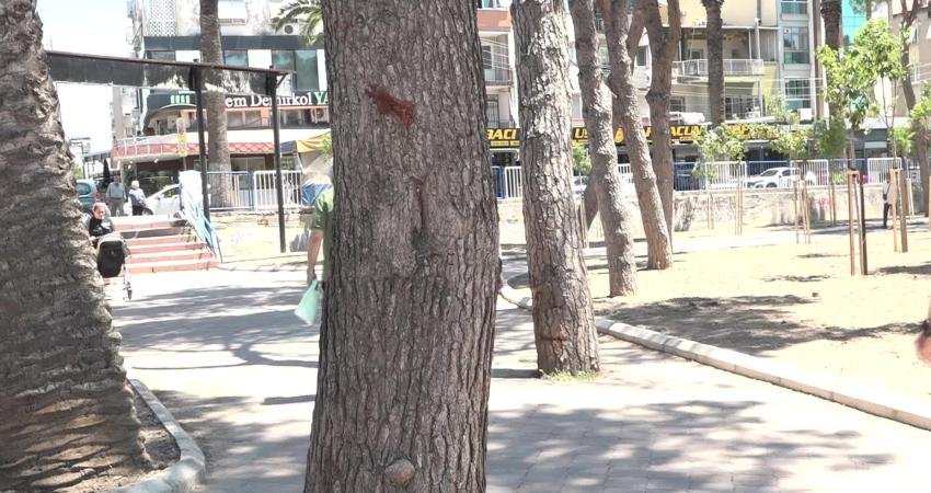 İzmir Büyükşehir Belediyesi, Buca’nın simge yeşil alanlarından Şirinyer Parkı’nda kapsamlı