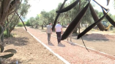 İzmir Büyükşehir Belediyesi, yıllardır atıl durumda bulunan Aliberti Köşkü ve