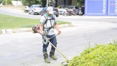 Burhaniye Belediyesi Park ve Bahçeler Müdürlüğü ekipleri, ilçe genelindeki parklarda,