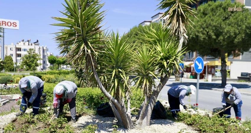 Burhaniye Belediyesi, park ve yeşil alanlarda çalışmalarını sürdürüyor Burhaniye Belediyesi Park ve Bahçeler Müdürlüğü ekipleri, ilçe genelinde park