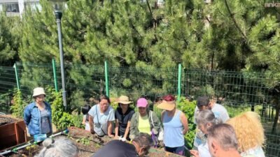Çankaya Belediyesi tarafından kent bostanlarında sürdürülen teorik eğitimlerini tamamlayan kursiyerler,