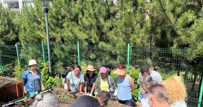 Çankaya Belediyesi tarafından kent bostanlarında sürdürülen teorik eğitimlerini tamamlayan kursiyerler,