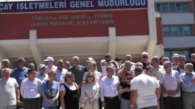 Çay İşletmeleri Genel Müdürlüğü'nün (ÇAYKUR), iştiraki olan ÇAYTAŞ üzerinden gerçekleştirdiği
