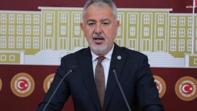 CHP Muğla Milletvekili Cumhur Uzun, Datça Emecik Mahallesi'ndeki 19 hazine