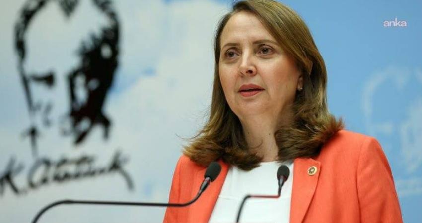 CHP’li Dinçer: “Kadın işsizlik oranımız yüzde 39’lara dayanmış durumda” CHP Genel Başkan Yardımcısı Semra Dinçer, ekonomik şiddetin kadınların karşı