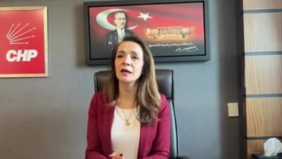 CHP Genel Başkan Yardımcısı Gamze Akkuş İlgezdi, Tarım ve Orman