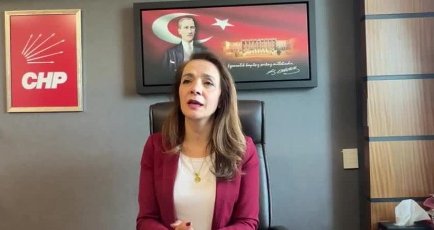 CHP Genel Başkan Yardımcısı Gamze Akkuş İlgezdi, Tarım ve Orman