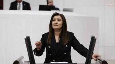 CHP İzmir Milletvekili Sevda Erdan Kılıç, Ağrı'nın Hamur ilçesinde görev