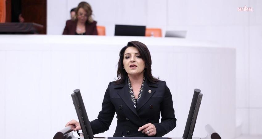 CHP Mersin Milletvekili Gülcan Kış, TÜİK'in açıkladığı Gayrisafi Yurt İçi