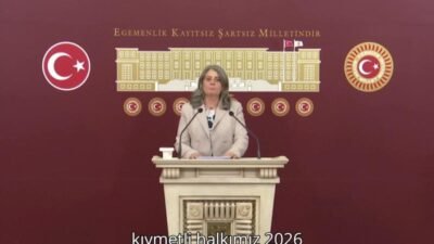 CHP Trabzon Milletvekili Sibel Suiçmez, yaş çay alım fiyatı ve