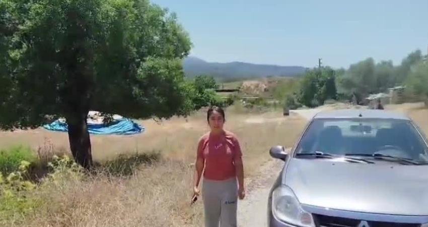 Muğla’nın Milas ilçesinde kömür madeni sahalarının genişletilmesi amacıyla Akbelen Ormanı
