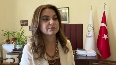 DEM Parti Grup Başkanvekili Gülistan Kılıç Koçyiğit, İmralı Heyeti üyesi