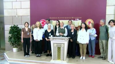 DEM Parti Mersin Milletvekili Perihan Koca, kamuoyunda "katliam yasası" olarak anılan