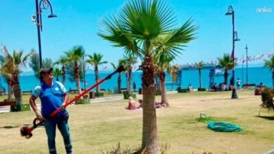 Didim Belediyesi ekipleri, kent genelinde ot biçme, çevre temizliği, park