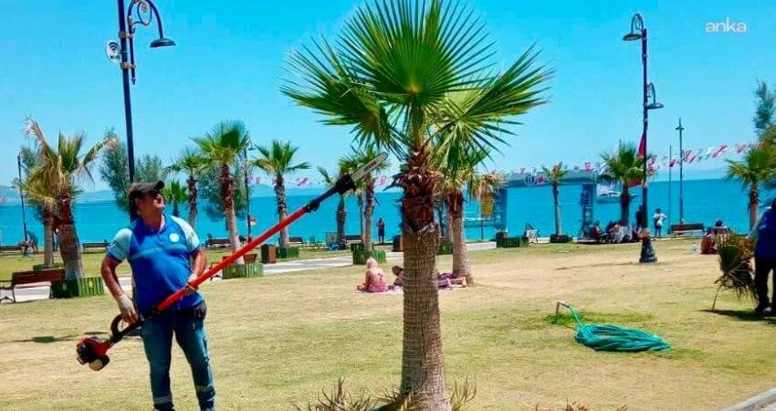 Didim Belediyesi ekipleri, kent genelinde ot biçme, çevre temizliği, park