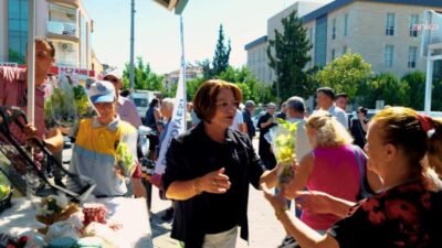 Didim Belediyesi'nin seralarında üretilen kabak, patlıcan, salatalık, domates ve biber