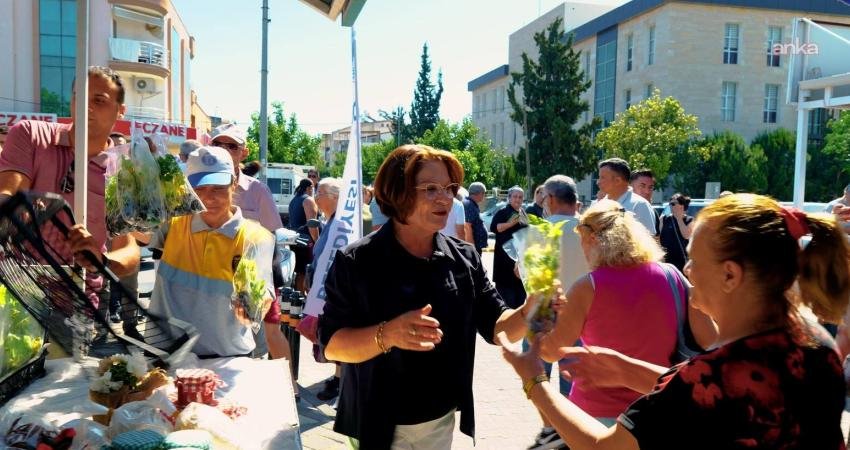 Didim Belediyesi'nin seralarında üretilen kabak, patlıcan, salatalık, domates ve biber