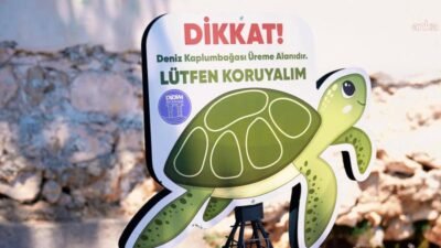 Didim kıyılarında caretta carettaların yuvalama alanları koruma altına alındı Didim Belediyesi, kent kıyılarında tespit ettiği caretta caretta yuvalama alanlarını koruma