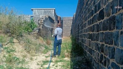Diyarbakır’da hava sıcaklıklarının artmasıyla birlikte Sur ilçesinin birçok mahallesinde akreplere