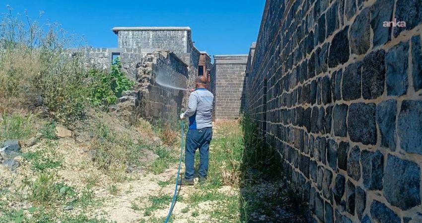 Diyarbakır’da hava sıcaklıklarının artmasıyla birlikte Sur ilçesinin birçok mahallesinde akreplere