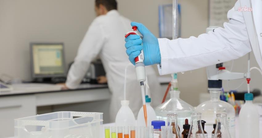 Haziran ayında ekim hazırlıklarını sürdüren üreticiler ve hobi bahçıvanları için