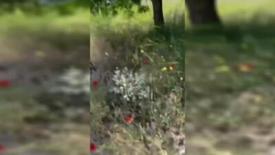 Doruk Madencilik bünyesinde çalışan Türk Maden-İş üyesi işçiler, Yıldızlar SSS