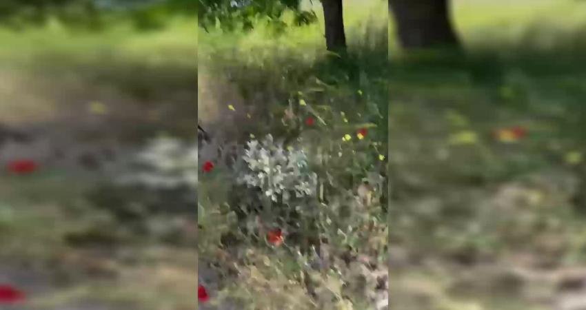 Doruk Madencilik bünyesinde çalışan Türk Maden-İş üyesi işçiler, Yıldızlar SSS