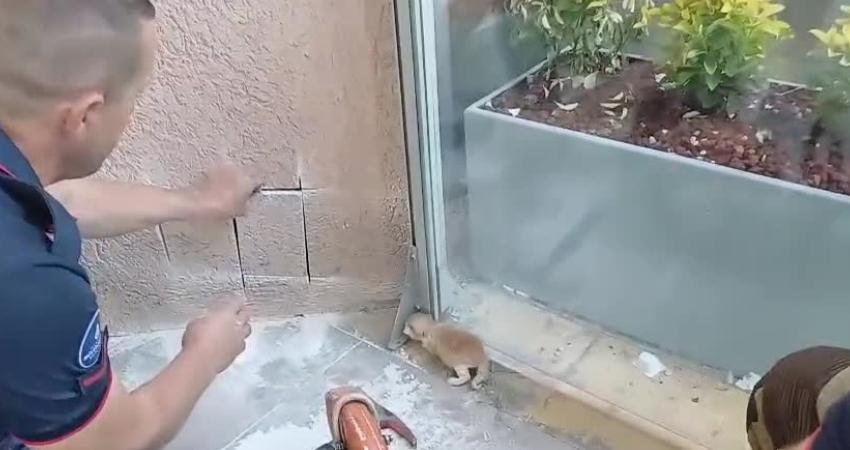 Silivri’deki bir AVM’nin duvarına sıkıştığı anlaşılan iki yeni doğan kedi,