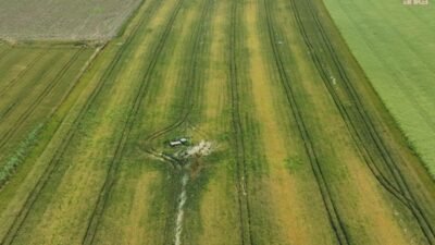 Edirne Ziraat Odası Başkanı Hüseyin Arabacı, bazı buğday ekili tarlalarda
