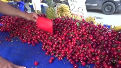 Edirne’de halk pazarında krazın kilosu 200 liradan satılıyor. Önceki yıllar