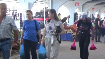 Edirne’de pazar tezgahlarında mantarın kilosunun 150-200 liradan satılmasından dert yanan