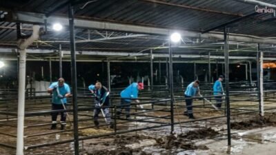 Efeler Belediyesi, Kurban Bayramı süresince ilçe genelinde temizlik ve dezenfeksiyon