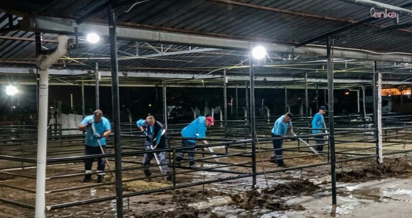 Efeler Belediyesi, Kurban Bayramı süresince ilçe genelinde temizlik ve dezenfeksiyon