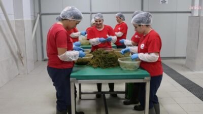 Efeler Belediyesi bünyesindeki Kadın Emeği Tarımsal Ürün Fabrikası’nda üretim kapasitesi