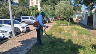 Efeler Belediyesi Park ve Bahçeler Müdürlüğü ekipleri, ilçe genelinde estetik
