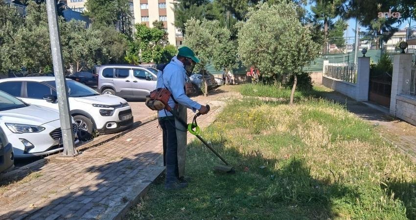 Efeler Belediyesi Park ve Bahçeler Müdürlüğü ekipleri, ilçe genelinde estetik