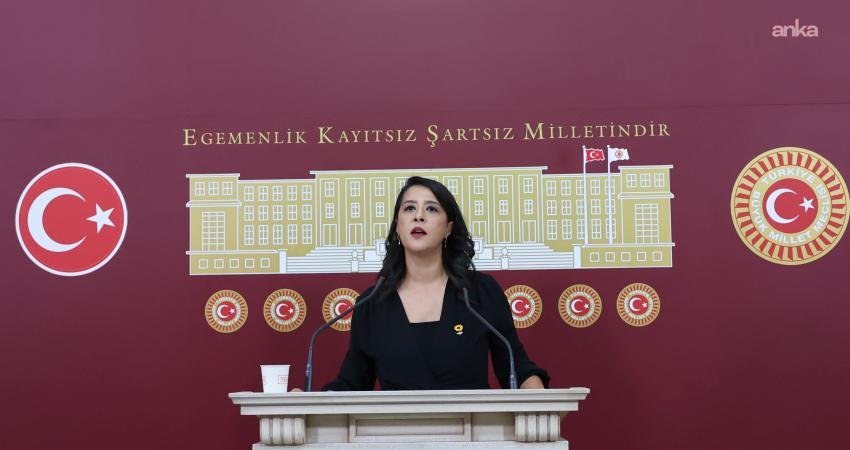 EMEP’li Karaca, Eskişehir Kapalı Cezaevi’nde LGBTİ bireylere kötü muamele iddialarını TBMM gündemine taşıdı EMEP Gaziantep Milletvekili Sevda Karaca, Eskişehir Kapalı Cezaevi'nde tutuklu bulunan