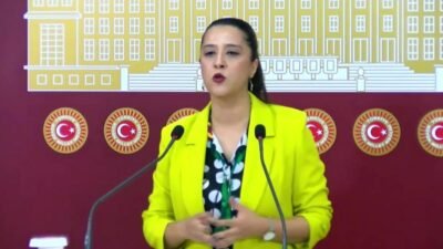 EMEP Gaziantep Milletvekili Sevda Karaca Demir, "Kürt sorununun çözümü boş beklentiler