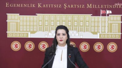EMEP Gaziantep Milletvekili Sevda Karaca, 6 Şubat depremlerinin ardından "yağmacı"