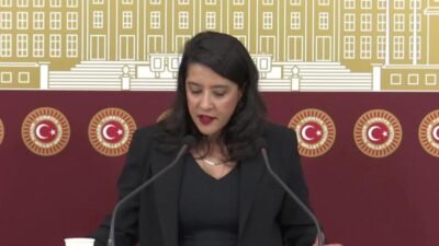  Emek Partisi (EMEP) Gaziantep Milletvekili Sevda Karaca, "halkı yanıltıcı bilgiyi alenen
